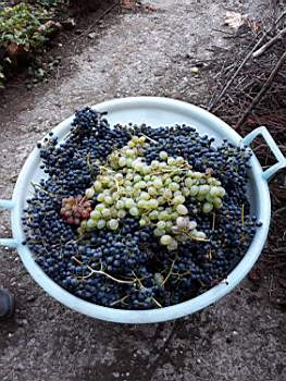 14-2019-09-21 at 20.42.17 (2).JPG